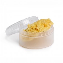 Natural sponge for bathing Suavinex - Various sizes